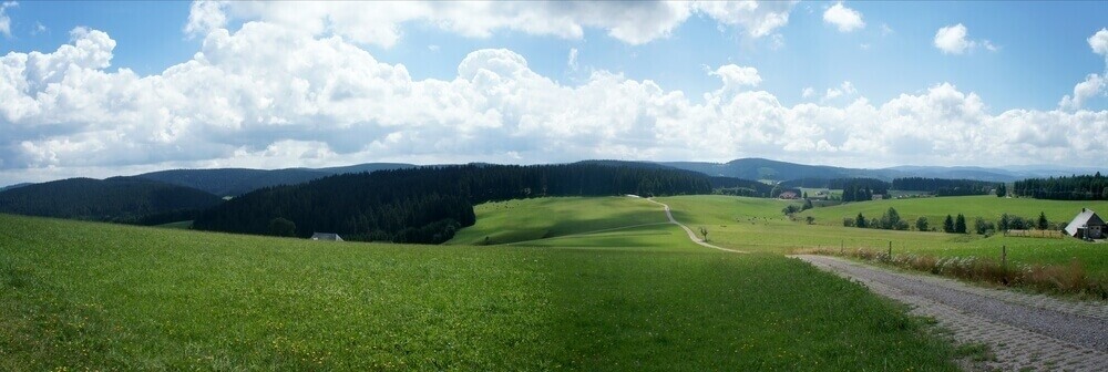 Black Forest, Germany