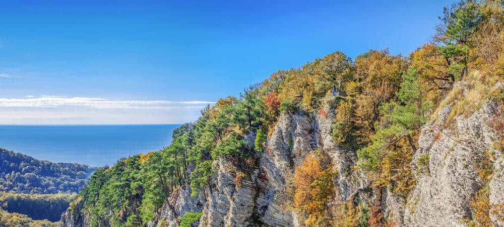 Sochi National Park, Russia 